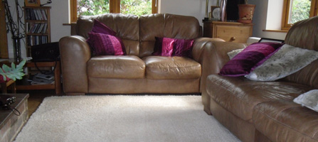 Natural Home Clean – domestic and business carpet cleaners