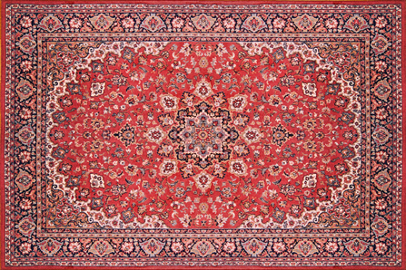 Cleaning speciality rugs and carpets